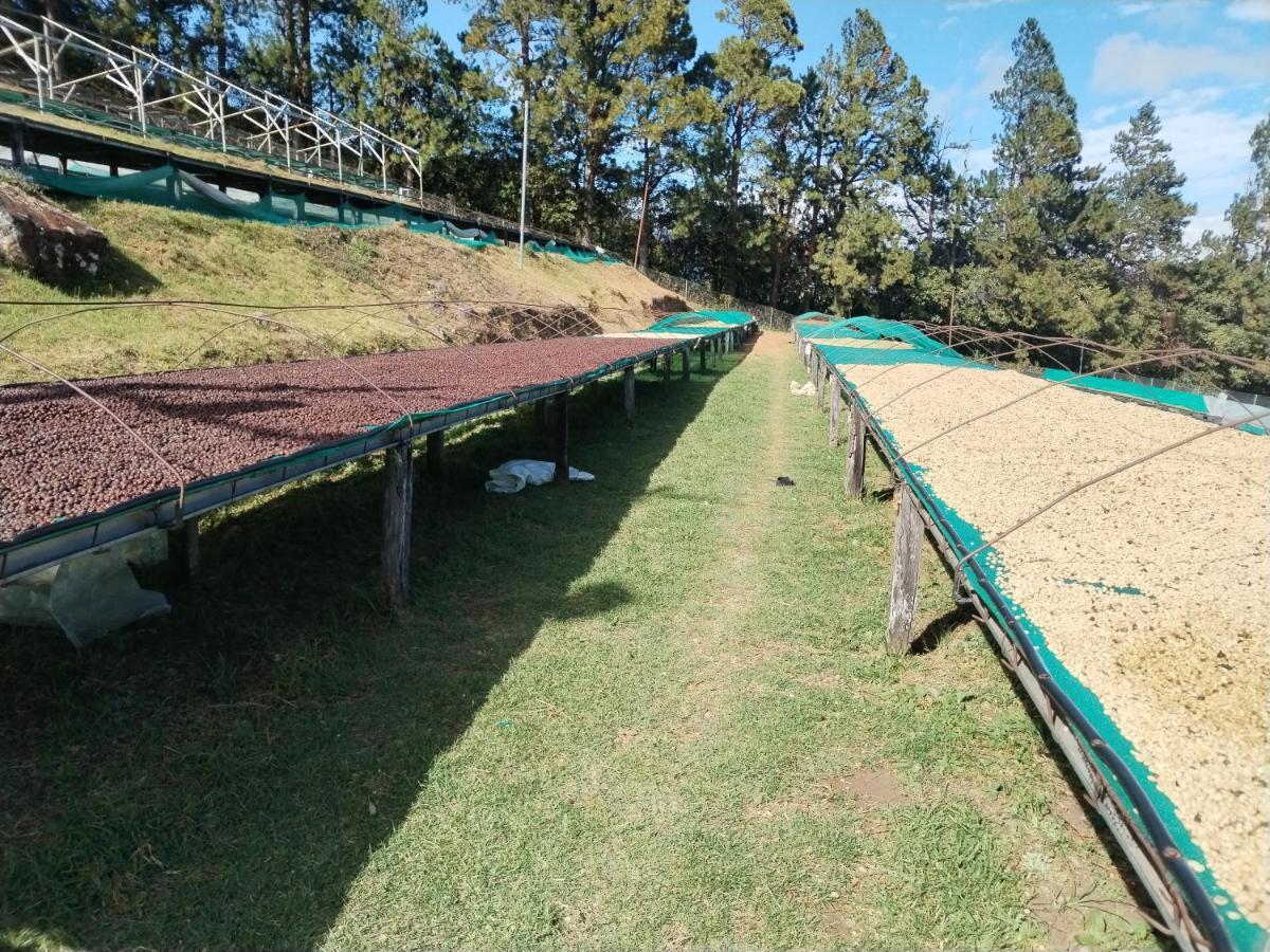 Campestre House Villa Alto Boquete Luaran gambar