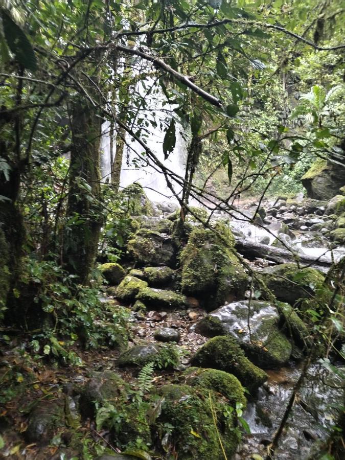 Campestre House Villa Alto Boquete Luaran gambar
